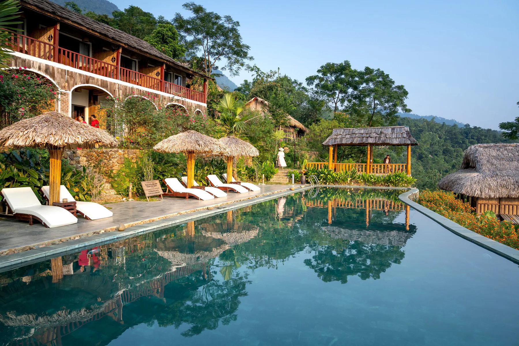 Resort tropical con alberca y vegetación