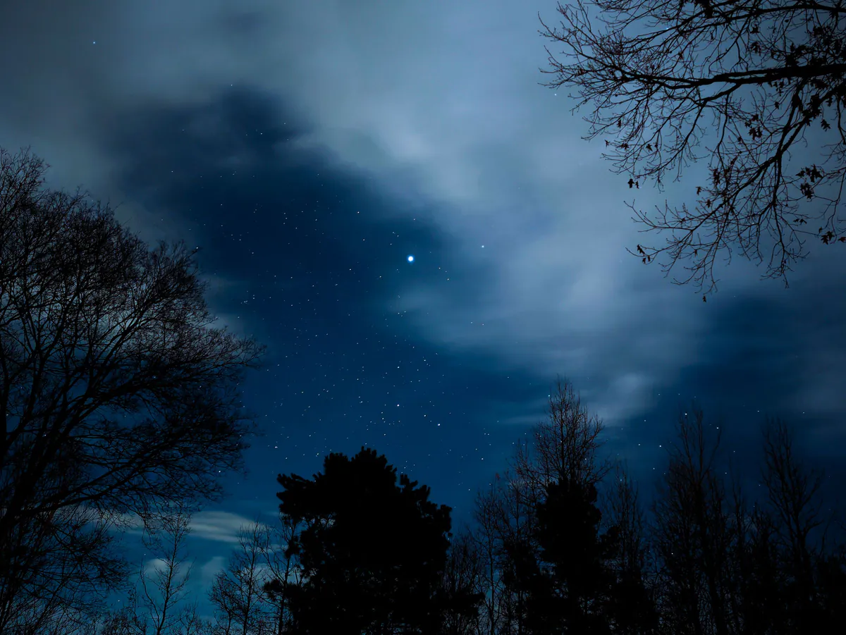 Cielo nocturno cubierto de estrellas
